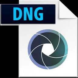 Adobe DNG Converter 17.3.1