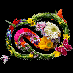 Adobe Special Collection for Windows 7 v4