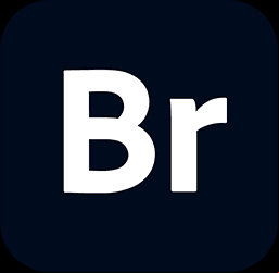 Adobe Bridge 2025 (v15.0.4.534)