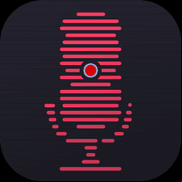 DRmare Audio Capture 2.5.0